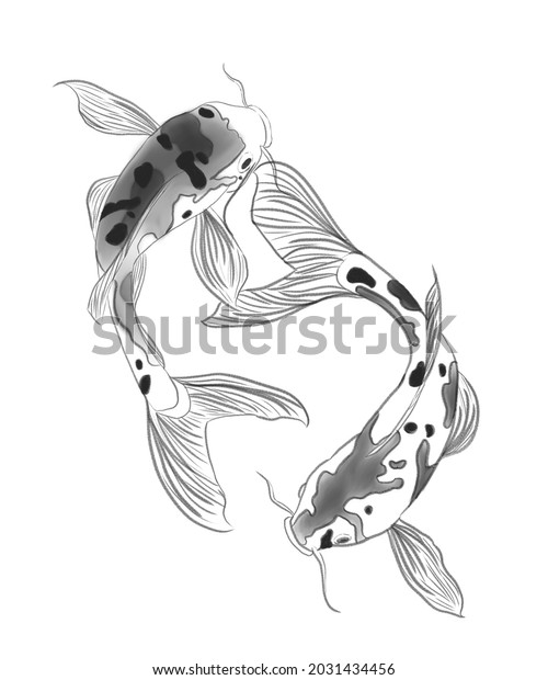 Drawing Two Koi Fish Stock Illustration 2031434456 | Shutterstock