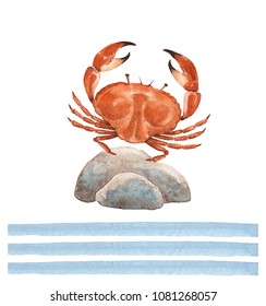 Drawing Watercolor Sea Crab On Stone With Blue Stripe Decorative Edent