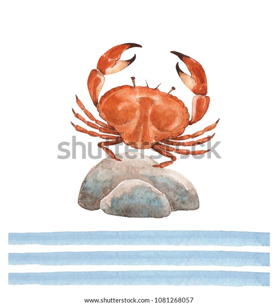 drawing watercolor sea crab on stone with blue\
stripe decorative\
edent