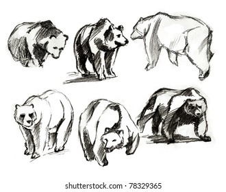 507 Bear snarl Images, Stock Photos & Vectors | Shutterstock