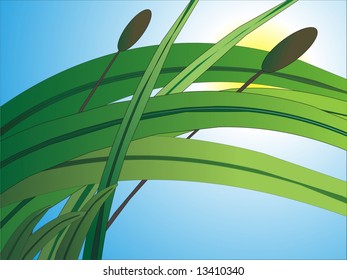 Drawn grass with sun