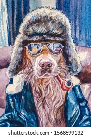 Dressed Up Funny Dog Portrait With Smoking Pipe, Sunglasses, Winter Bomber Hat, Blue Jacket.