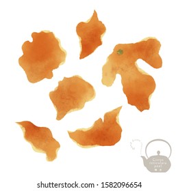 Dried Citrus Peel / Hand Drawn Illustration / Asian Healthy Food / Chinese Medicine