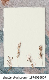 Dried Flower Decorated Ripped Paper Mockup Design