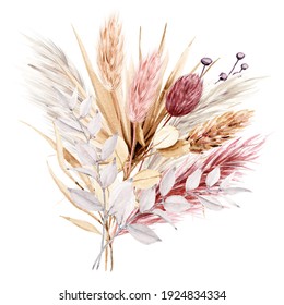 Dried Flowers Watercolor Drawing. Pampas Grass, Tropical Palm Leaves, Wildflowers.	