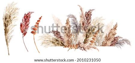 Dried grass setpainted with watercolor. Boho pampas grass neutral colors border. Botanical boho bouquets isolated on white. Bohemian style wedding invitation, greeting, card, postcard, stickers