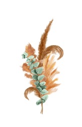 Dried Pampas Grass And Eucalyptus Leaves Bouquet. Watercolor Dry Flowers Design In Earth Brown And Mint Colors