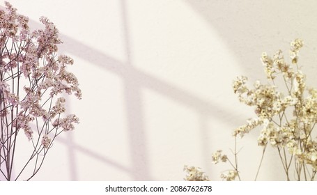 Dried Plants Serenity Background, Shadows Window Textured Wall, Neutral Aesthetic Boho Background, 3d Rendering