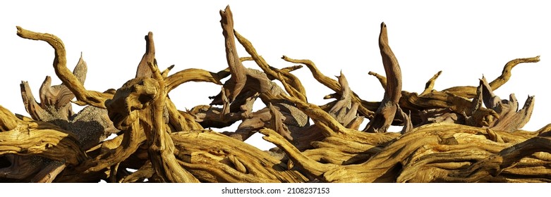 driftwood, aged branches isolated on white background (3d render banner)