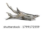 driftwood isolated on white background, aged branch (3d render)
