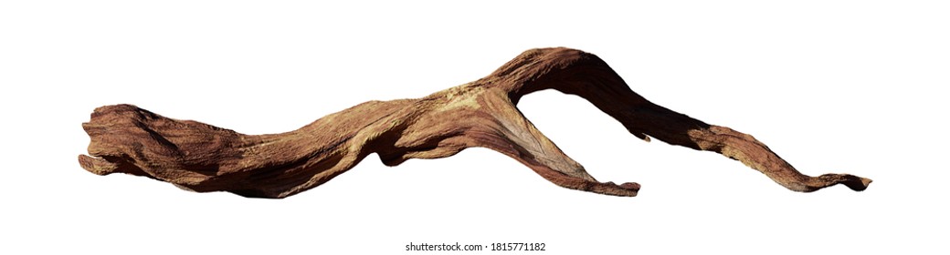 driftwood isolated on white background,  dry wood (3d rendering banner)