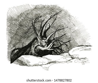 Driftwood Lying On A Hill At Night.
Ink Drawing.