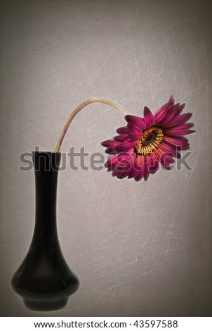 Similar – Image, Stock Photo SummerStill Lifestyle