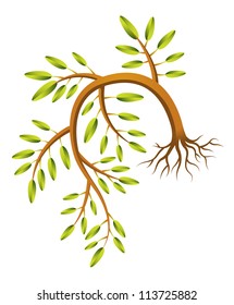 155 Dangling roots Images, Stock Photos & Vectors | Shutterstock