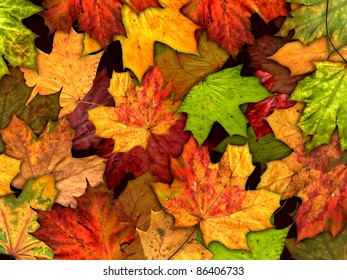 24,511 Collage autumn leaves Images, Stock Photos & Vectors | Shutterstock