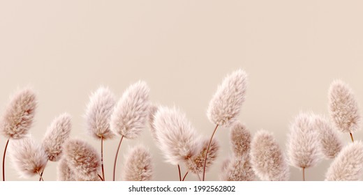 Dry Fluffy Flowers Beige Pastel Color Boho Background 3d Rendering. Abstract Pampas Grass Isolated - Calm Floral Wallpaper.