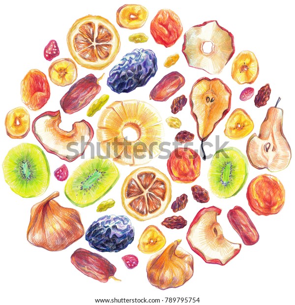 カラーペンシルで描いたドライフルーツの丸い形のパターン 白い背景に