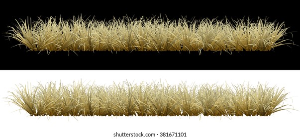 Dry Grass On An Isolated Background