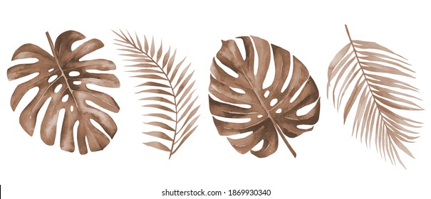 Dry palm leaves. Dried tropical monstera and palm leaf set. Terracotta plants. Watercolour illustration isolated on white background.