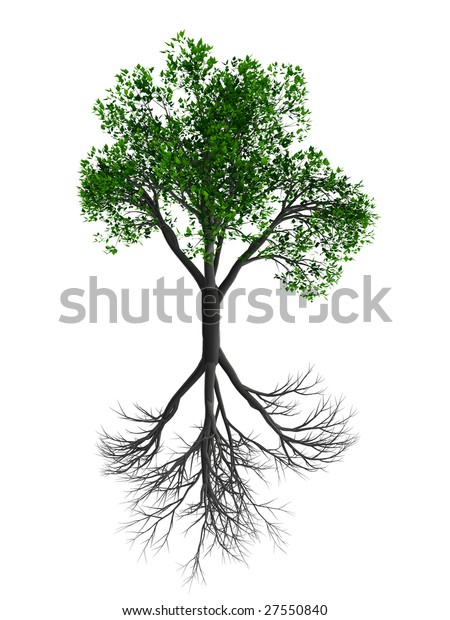 Dry Tree Live Tree Stock Illustration 27550840