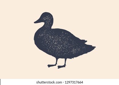 Duck, silhouette. Vintage logo, retro print, poster for Butchery meat shop, duck silhouette. Logo template for meat business, meat shop. Isolated black white silhouette duck. Illustration