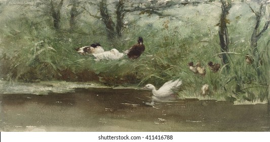 Ducks In The Ditch, By Willem Maris, C. 1880-1900, Dutch Painting, Watercolor On Paper