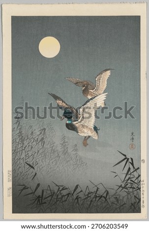 Ducks flying under a full moon, full moon glowing, ducks in flight, serene night sky, night sky with ducks, peaceful scene. Vintage animal artwork, old animal illustration.