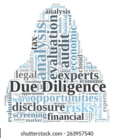 Due Diligence Word Cloud