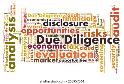 Due Diligence Word Cloud