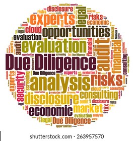 Due Diligence Word Cloud