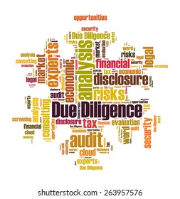 Due Diligence Word Cloud