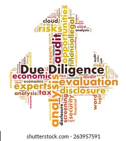 Due Diligence Word Cloud