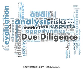 Due Diligence Word Cloud