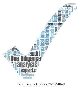 Due Diligence Word Cloud