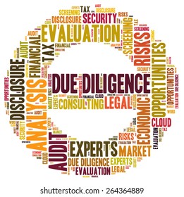 Due Diligence Word Cloud