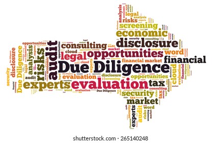 Due Diligence Word Cloud