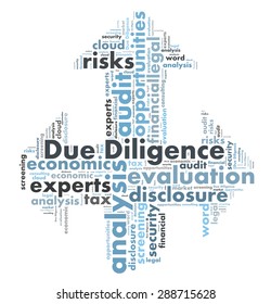 Due Diligence Word Cloud