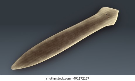 Dugesia (planarian) 3d Illustration