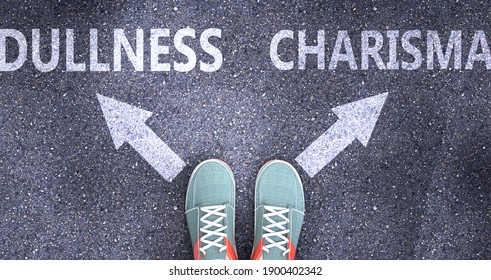 Dullness and charisma as different choices in life - pictured as words Dullness, charisma on a road to symbolize making decision and picking either Dullness or charisma as an option, 3d illustration