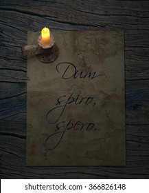 Dum Spiro Spero Images Stock Photos Vectors Shutterstock