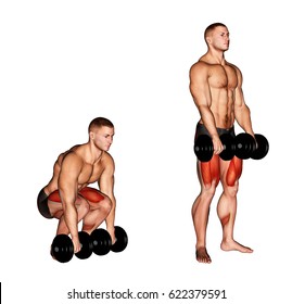 Dumbbell Deadlift. 3D Illustration