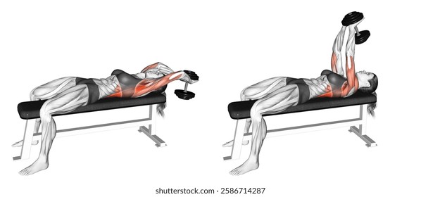 Dumbbell Pullover (VERSION 2) (female). Back exercise. Workout illustration training guide