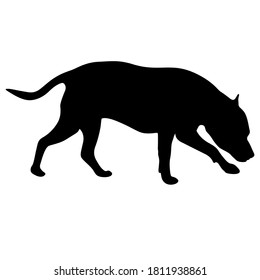 Dunker Dog Black Silhouette On White Background