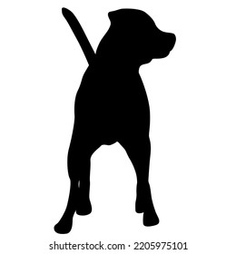 Dunker Dog Black Silhouette On White Background.