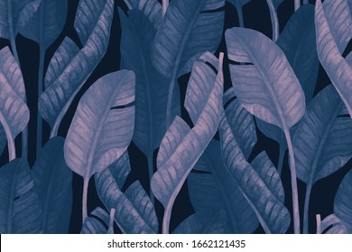 Duo Tone Colored Banana Leaves Seamless Pattern. Tropical Leaf Sketch Hand Drawn Botanical Illustration For Summer Design. Watercolor Foliage Illustration In Trendy Gradient Holographic Color