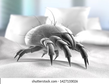 Dust Mite Isolated - 3D Illustration