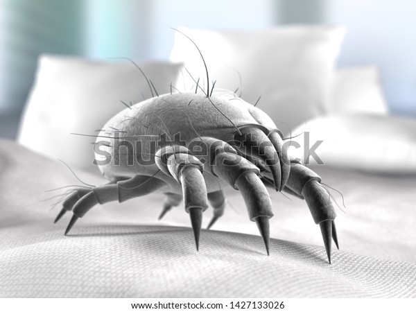 Dust mite isolated - 3D\
illustration