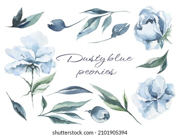 Dusty Blue Peonies And Leaves