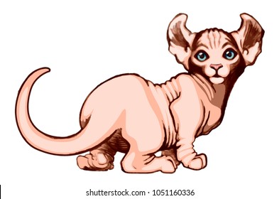 Dwarf Cat Sphynx Back Stock Illustration 1051160336