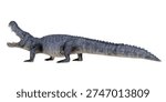 Dynamic side view of a roaring crocodile.